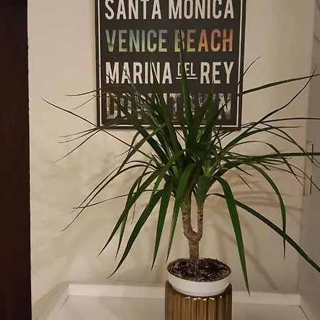 Martas Street * Ryga